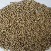 Canola feed