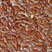 Flax feed