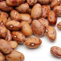 Beans