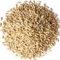 Oats