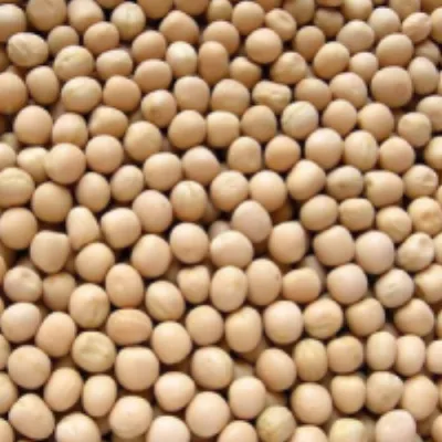 Yellow peas